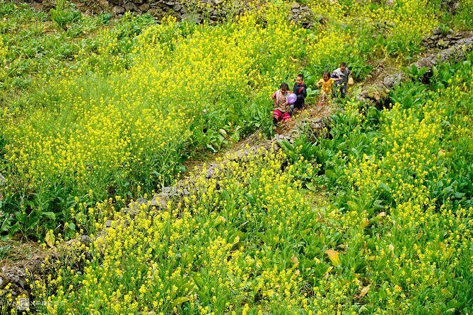 4D3N Ha Giang Loop Group Tour from Ha Giang - FAQs  