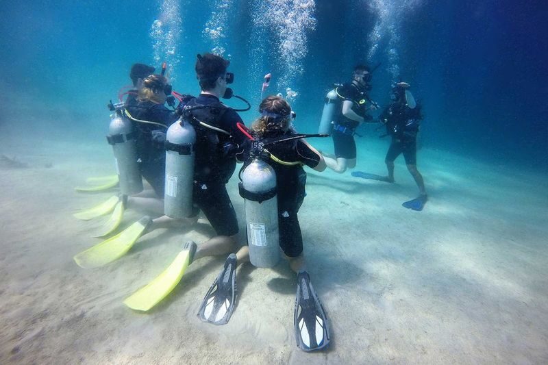 4D3N PADI Beginner Open Water Diving Course - Tioman makes a good classroom