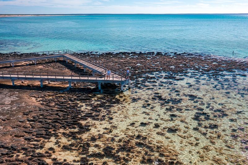 4D3N Perth to Monkey Mia Dolphins Pink Lake Tour with Hotel Comfort - Four days from Perth to Shark Bay