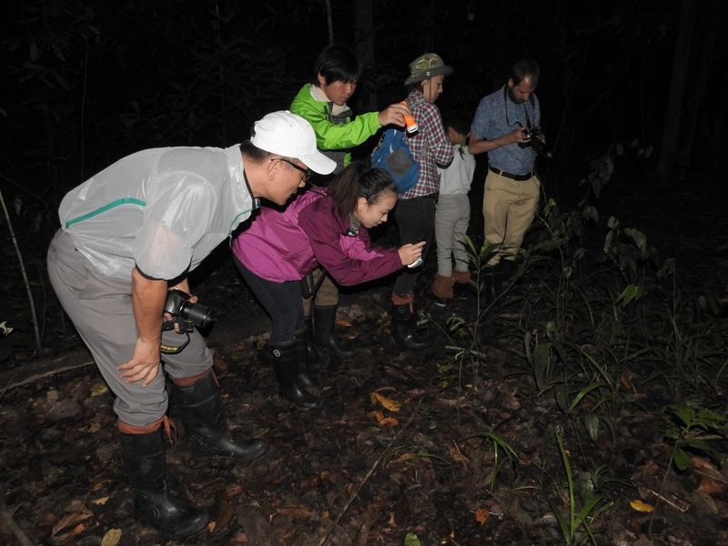 4D3N Sepilok Wildlife Tour with Kinabatangan River Cruise Experience in Sandakan - Four days from Sepilok to the Kinabatangan