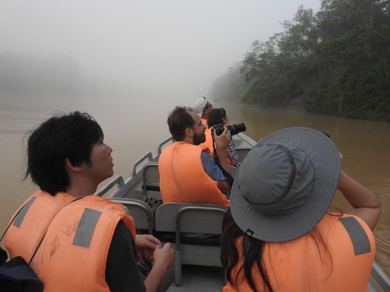 4D3N Sepilok Wildlife Tour with Kinabatangan River Cruise Experience in Sandakan - Day 3: A 6:00 a.m. cruise and a forest walk