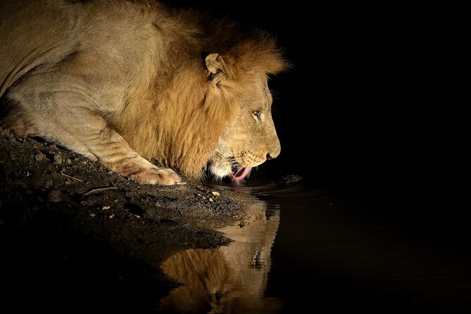 4DAY Trip to Serengeti From Zanzibar Including Flights - Group Size and Pricing