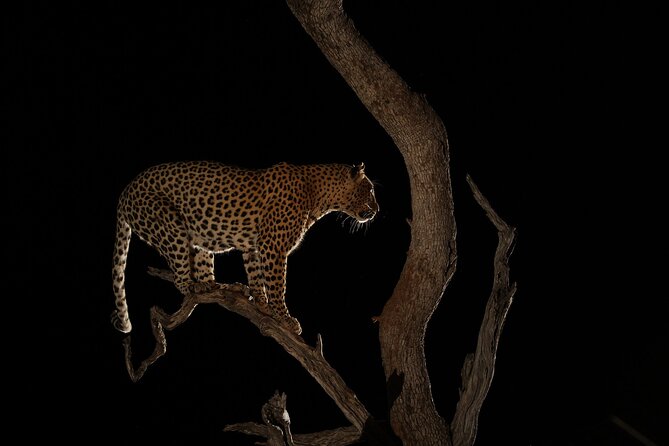 4DAY Trip to Serengeti From Zanzibar Including Flights - Booking and Cancellation Policy