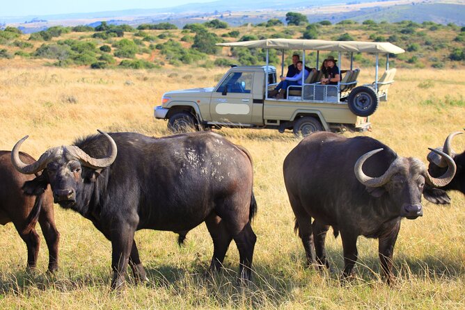 4Days Masai Mara and Lake Nakuru 4X4 Jeep Camping Safari - Additional Tour Information