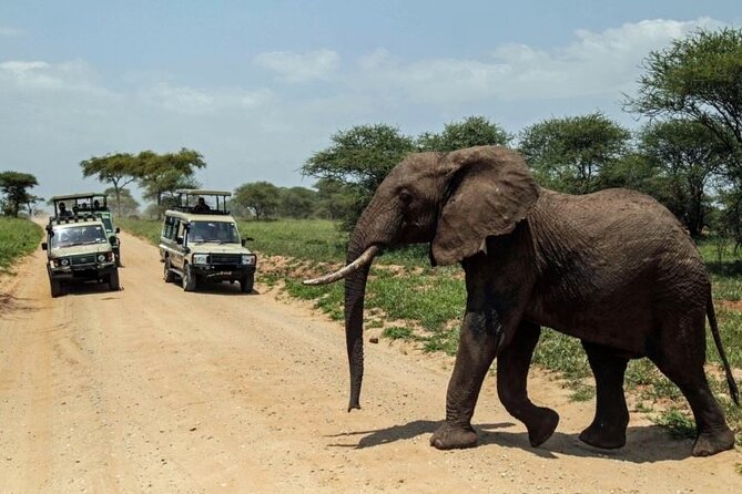 4Days Masai Mara and Lake Nakuru 4X4 Jeep Camping Safari - Availability, Reviews, and Directions