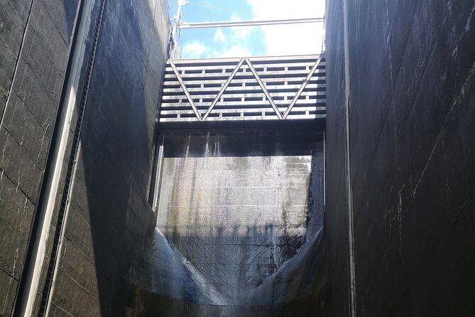 4H Private Boat Trip on the Douro River - Feel the Nature - The Sum Up