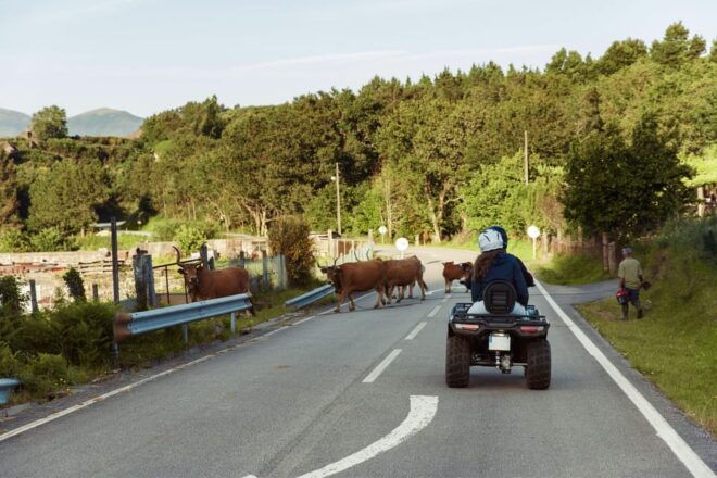 4h Quad Tour • Arcos De Valdevez • Peneda Gerês - Inclusions