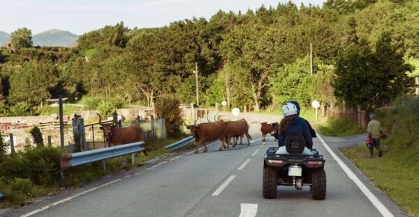 4h Quad Tour • Arcos De Valdevez • Peneda Gerês - Pricing and Availability