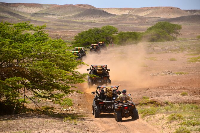 4h SSV Buggy Island Adventure - 1000cc or 500cc - Customer Reviews