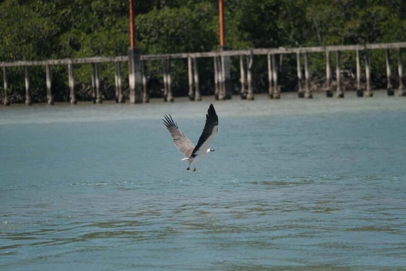 4H Supercharged Jetski Private Tour Langkawi + Drone - FAQs