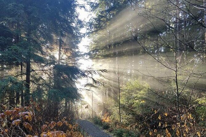 4hr Custom Private Tour of Ketchikan (14 People) Wildlife + More - Introduction