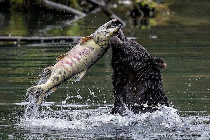 4hr Custom Private Tour of Ketchikan (14 People) Wildlife + More - Detailed Breakdown of the Itinerary