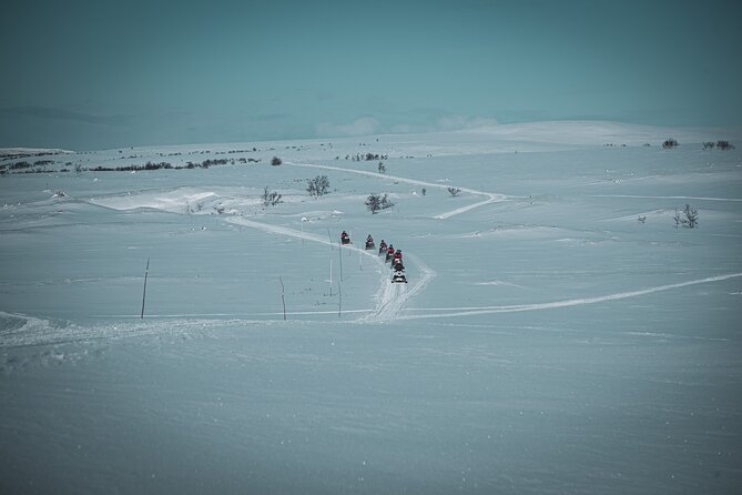 4hr Finnmarksvidda Snowmobile Adventure - What to Expect