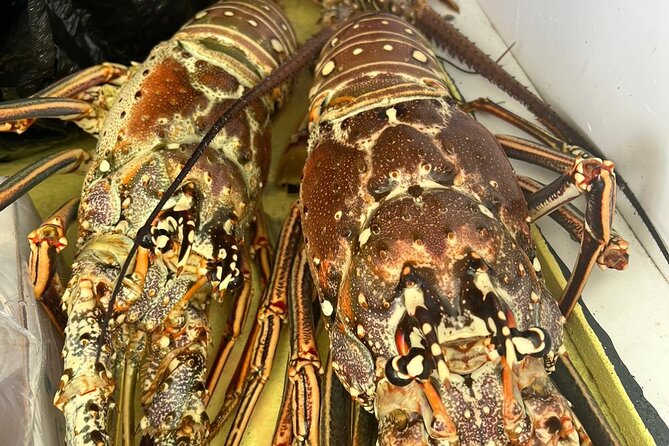 4HR-Halfday Private Fishing Tour in Gracebay - Pickup and Transportation Details
