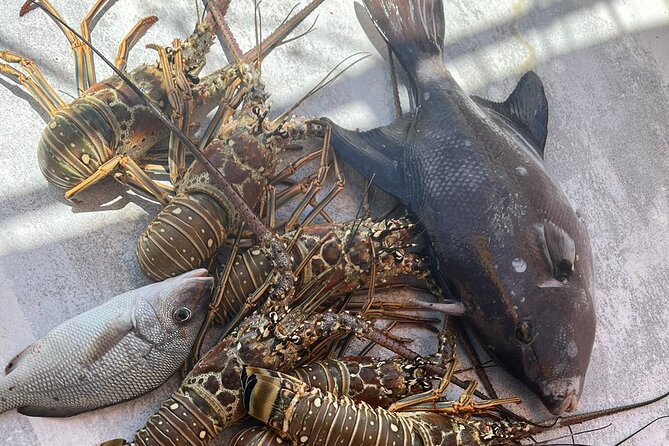 4HR-Halfday Private Fishing Tour in Gracebay - Cancellation and Refund Policy
