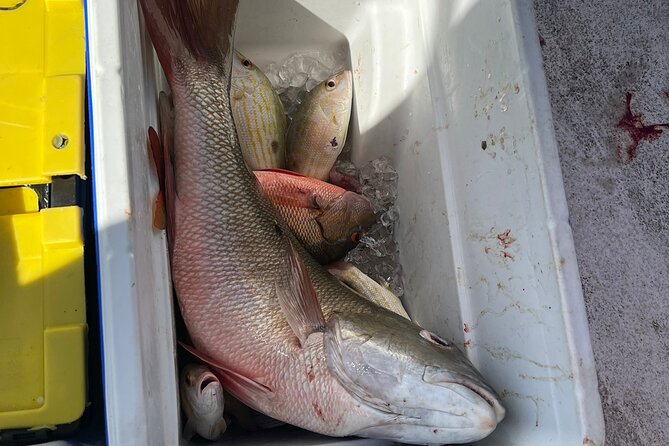 4HR-Halfday Private Fishing Tour in Gracebay - Viator Help Center