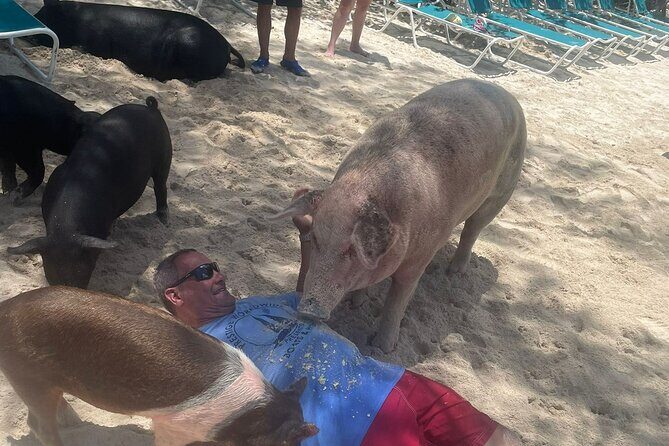 4hr Private Tour Island Hop Snorkel w/ Turtles & Sip Bahama Mamas - Authentic Experiences and Genuine Value