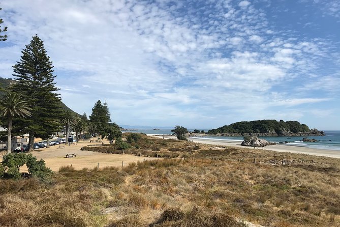 4hr Shore Excursion - History and Tasting Tour FREE Kiwifruit Tasting - Inclusions and Exclusions