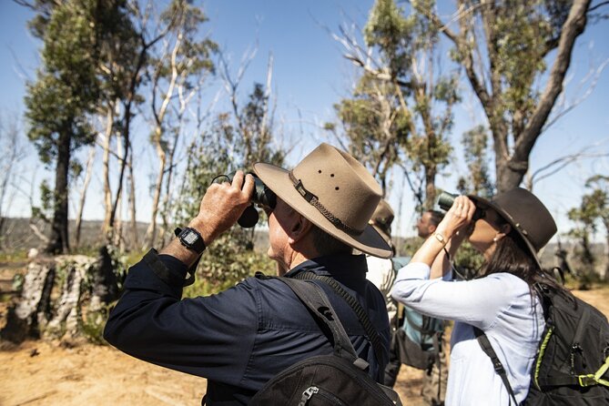 4Hrs at Wolgan Valley Birdwatching Experience - Tour Itinerary and Activities
