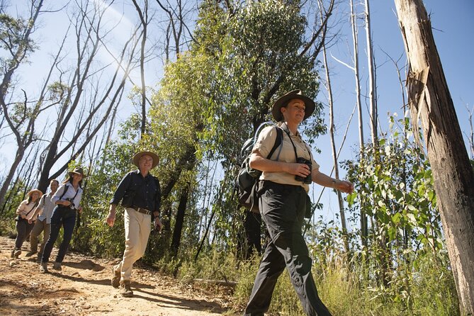 4Hrs at Wolgan Valley Birdwatching Experience - Additional Information and Requirements
