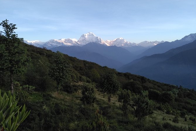 4Nights 5Days PoonHill Trek - Trek Overview and Itinerary