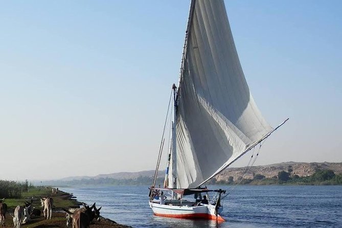 4nights Cruise Luxor, Aswan, Abu Simbel, Balloon,And Tours by Bus From Hurghada - Meeting Points and Schedule