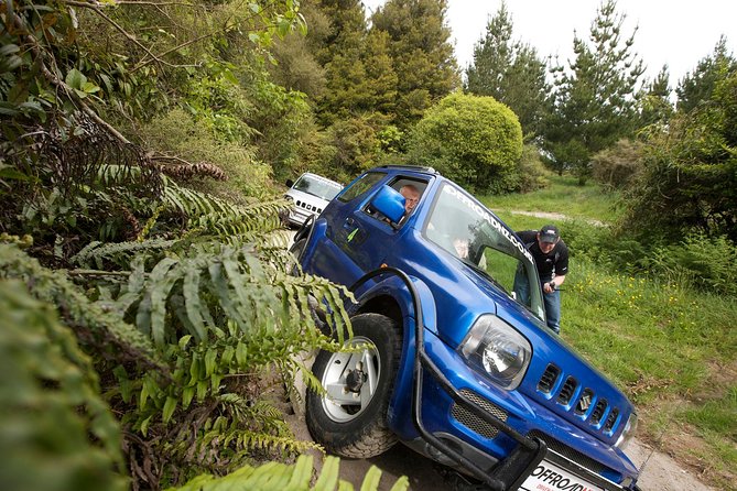 4WD Bush Safari at Off Road NZ - Overview and Activity Details