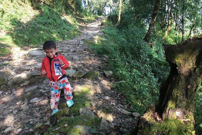 4WD Drive to Dhampus and Easy Hiking to Australian Camp From Pokhara - Highlights of the Easy Hiking Trail