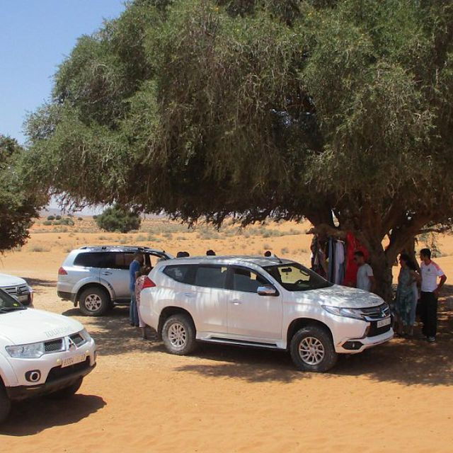 4WD Expedition to the Small Desert With a Delicious Berber - Activity Highlights