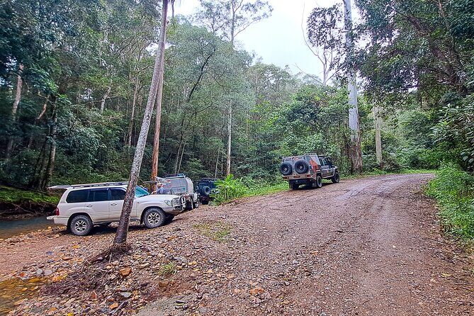 4WD Guided Day Trip In D'Aguilar National Park - FAQs