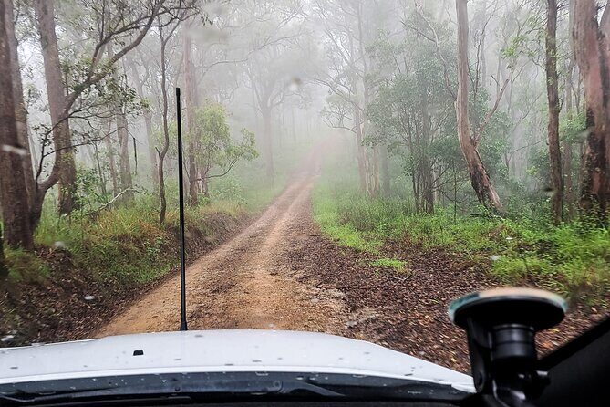 4WD Guided Day Trip In D'Aguilar National Park - Wrapping It Up