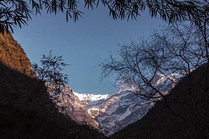 4WD Jeep Drive Kaphuche Glacier Lake Tour and Trekking From Pokhara - Pricing and Group Size