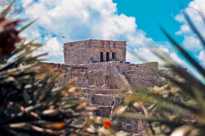 4X1 Tour to Tulum, Coba, Cenote and Playa del Carmen in one day! - The Practical Side: Value, Tips, and Extra Costs