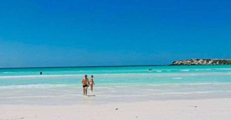 4x4 Adventure/Swim at Wedge Island & Stargazing at Pinnacles - Experience Highlights