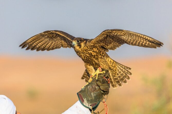 4x4 Adventurous Dubai Red Dune Desert Safari - Tour Requirements and Restrictions