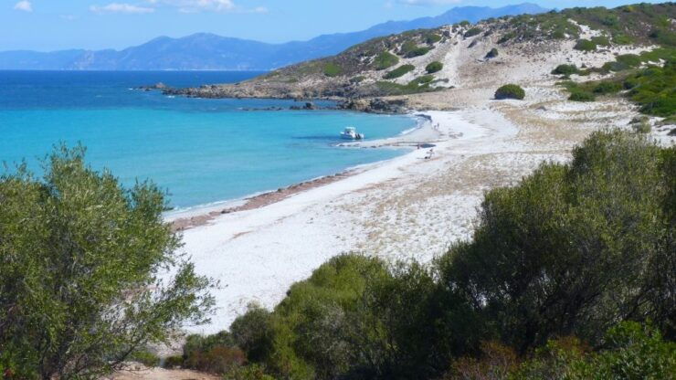 4x4 Agriates Desert and Beach Excursion From Calvi - Activity Details