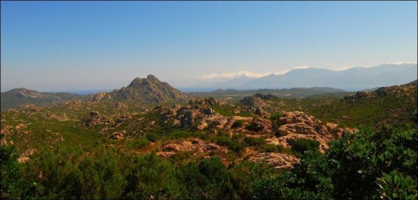 4x4 Agriates Desert and Beach Excursion From Calvi - The Sum Up