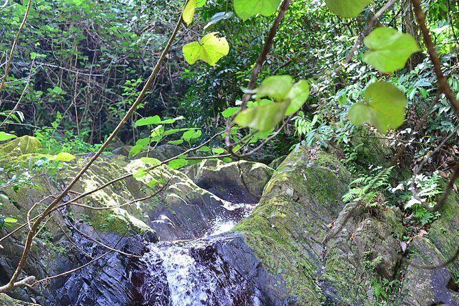 4x4 ATV Adventure Dominican culture in Miches (Half Day) - Who Should Consider This Tour?