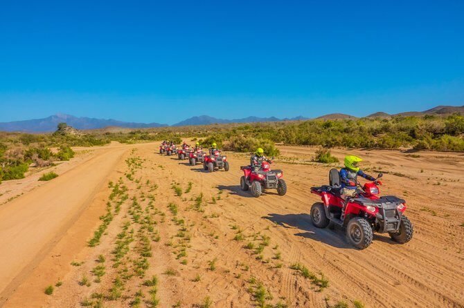 4x4 ATV Adventure with Tequila tasting and Mexican buffet lunch - FAQ