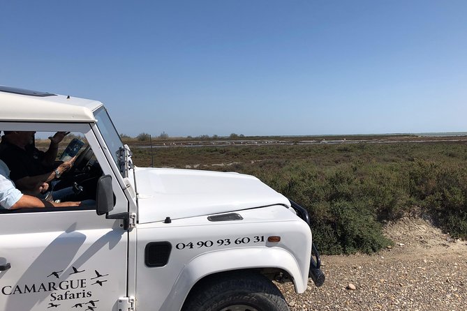 4x4 Camargue Safari 4h - Private Tour - Departure From Arles - Tour Details
