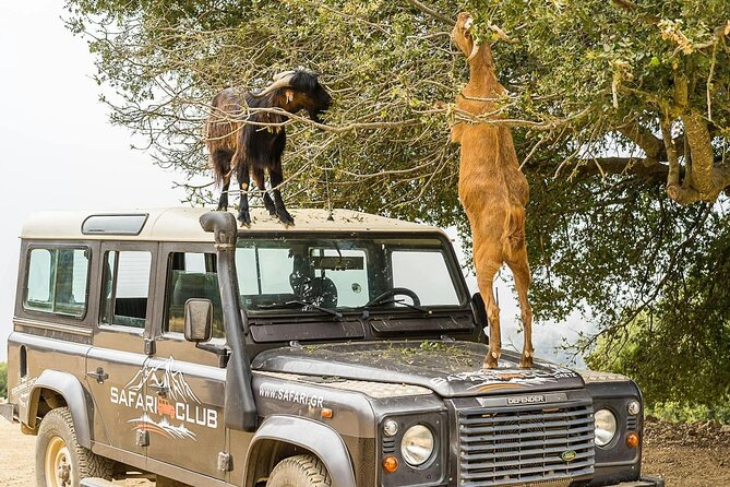 4x4 Cretan Experience From Rethymnon - Cancellation Policy