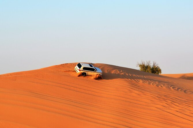 4x4 Desert Safari Abu Dhabi With BBQ Dinner - Overview of the 4x4 Desert Safari Experience