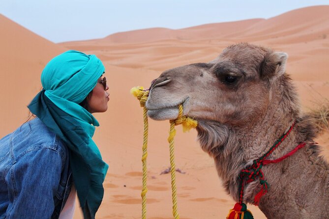 4x4 Desert Safari Abu Dhabi With BBQ Dinner - Inclusions in the Desert Safari Package