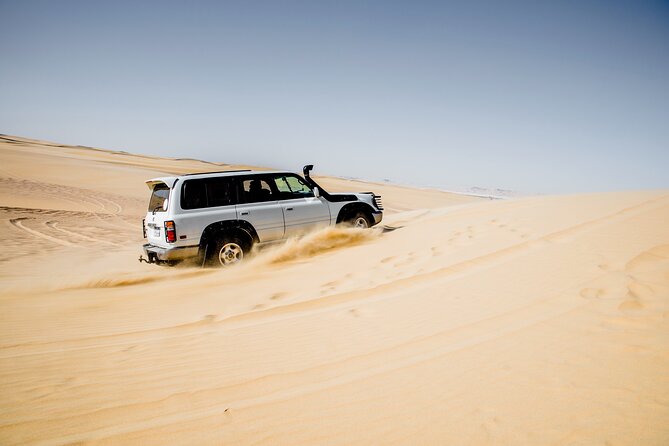 4x4 Desert Safari, Sandsurf, and Camel Ride in Cairo - Traveler Photos