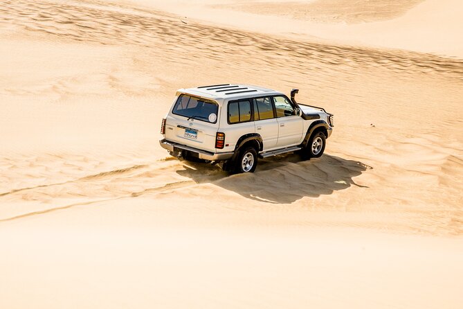 4x4 Desert Safari, Sandsurf, and Camel Ride in Cairo - Important Information