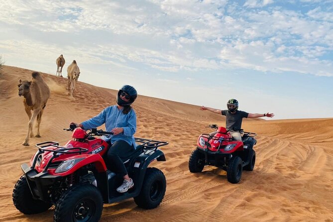 4X4 Dubai Desert Safari With BBQ Dinner, Camels & Live Show - Customer Reviews and Feedback
