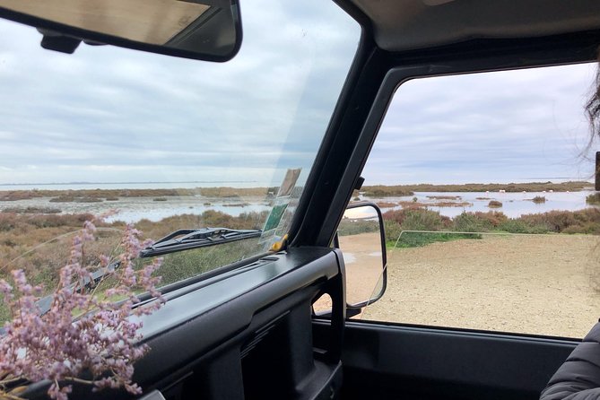 4x4 Excursion in the Camargue Regional National Park  - Arles - Cancel 24H Prior & Full Refund - Additional Information and Cancellation Policy