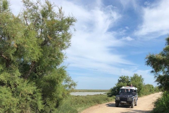 4x4 Excursion in the Camargue Regional National Park  - Arles - Cancel 24H Prior & Full Refund - Traveler Photos and Reviews