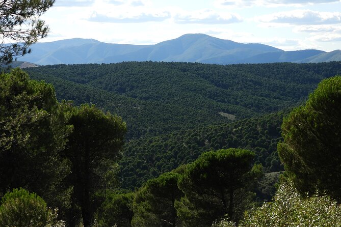 4x4 Granadilla. Mínimo 4 Personas. - What Is 4x4 Granadilla?