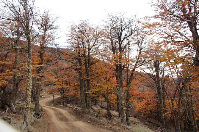 4x4 in Cerro Frías - Directions and Address for Cerro Frías